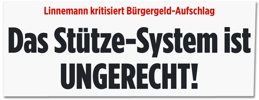 Screenshot Bild.de - Linnemann kritisiert Bürgergeld-Aufschlag - Das Stütze-System ist ungerecht
