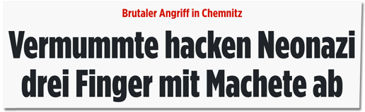 Screenshot Bild.de - Brutaler Angriff in Chemnitz - Vermummte hacken Neonazi drei Finger mit Machete ab