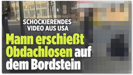 Screenshot Bild.de - Schockierendes Video aus den USA - Mann erschießt Obdachlosen auf dem Bordstein