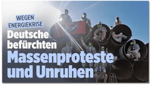 Screenshot Bild.de - Wegen Energiekrise - Deutsche befürchten Massenproteste und Unruhen